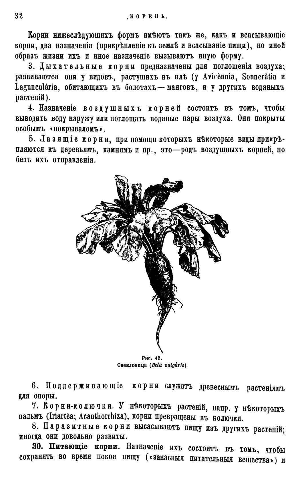 Скан страницы 35 книги «Систематика растений. Часть 1»