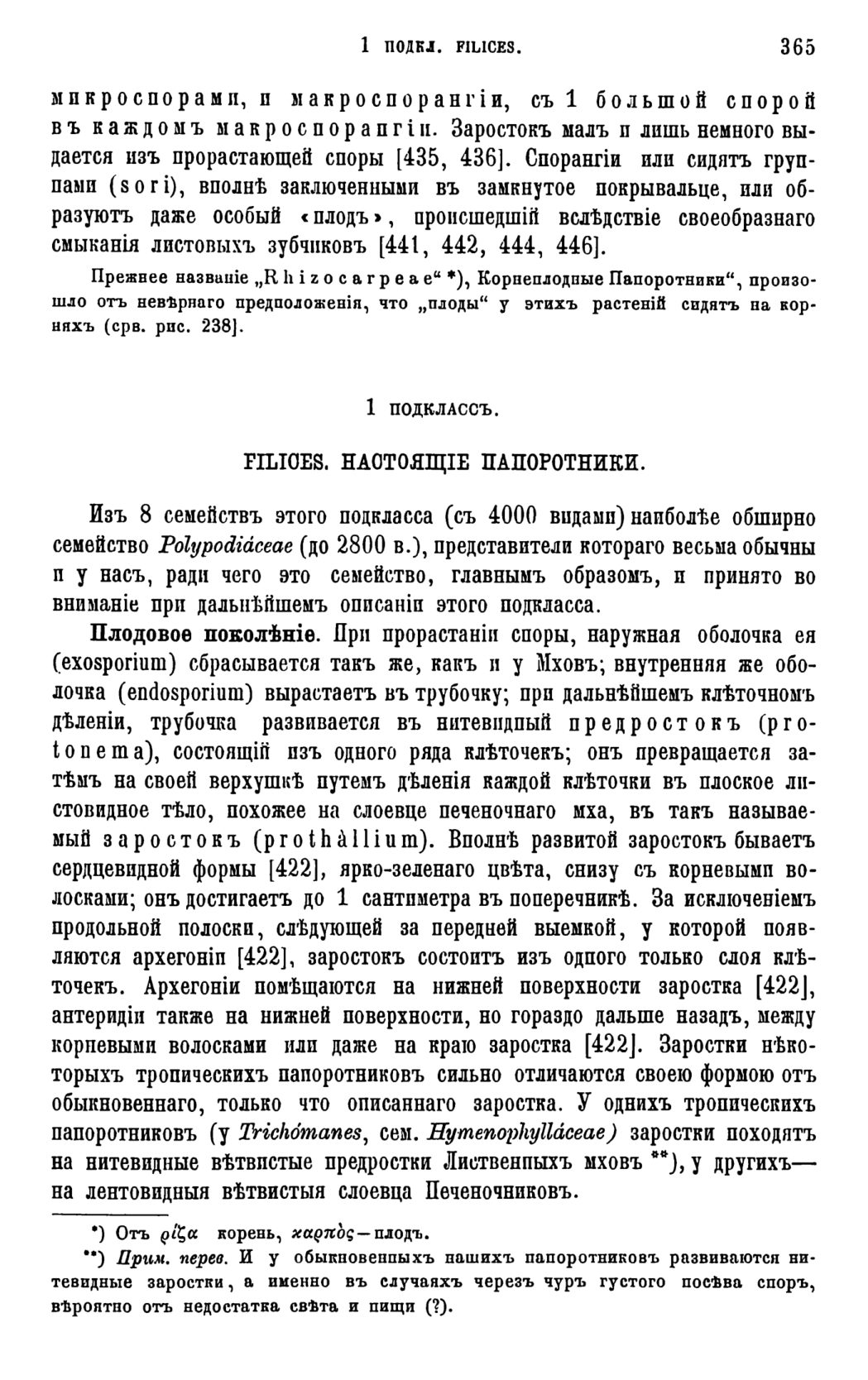 Скан страницы 368 книги «Систематика растений. Часть 1»