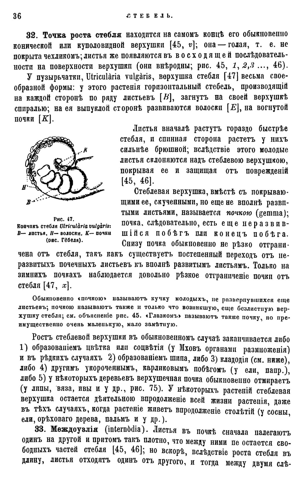Скан страницы 39 книги «Систематика растений. Часть 1»