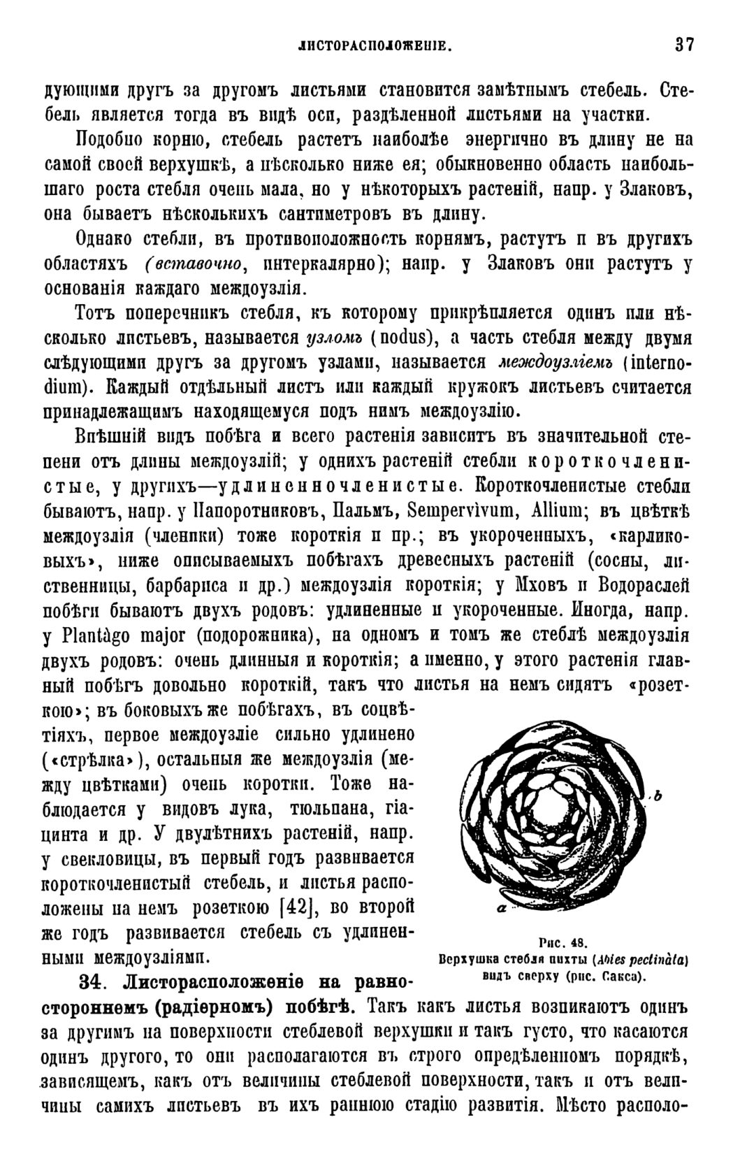 Скан страницы 40 книги «Систематика растений. Часть 1»