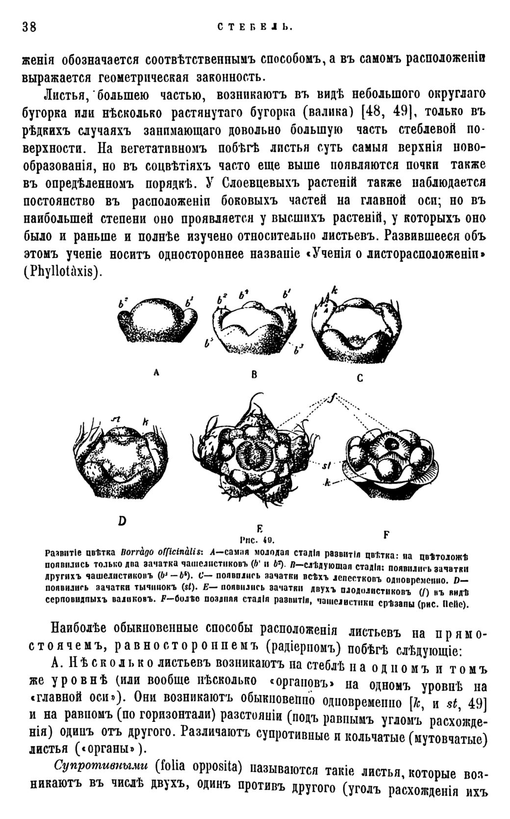 Скан страницы 41 книги «Систематика растений. Часть 1»