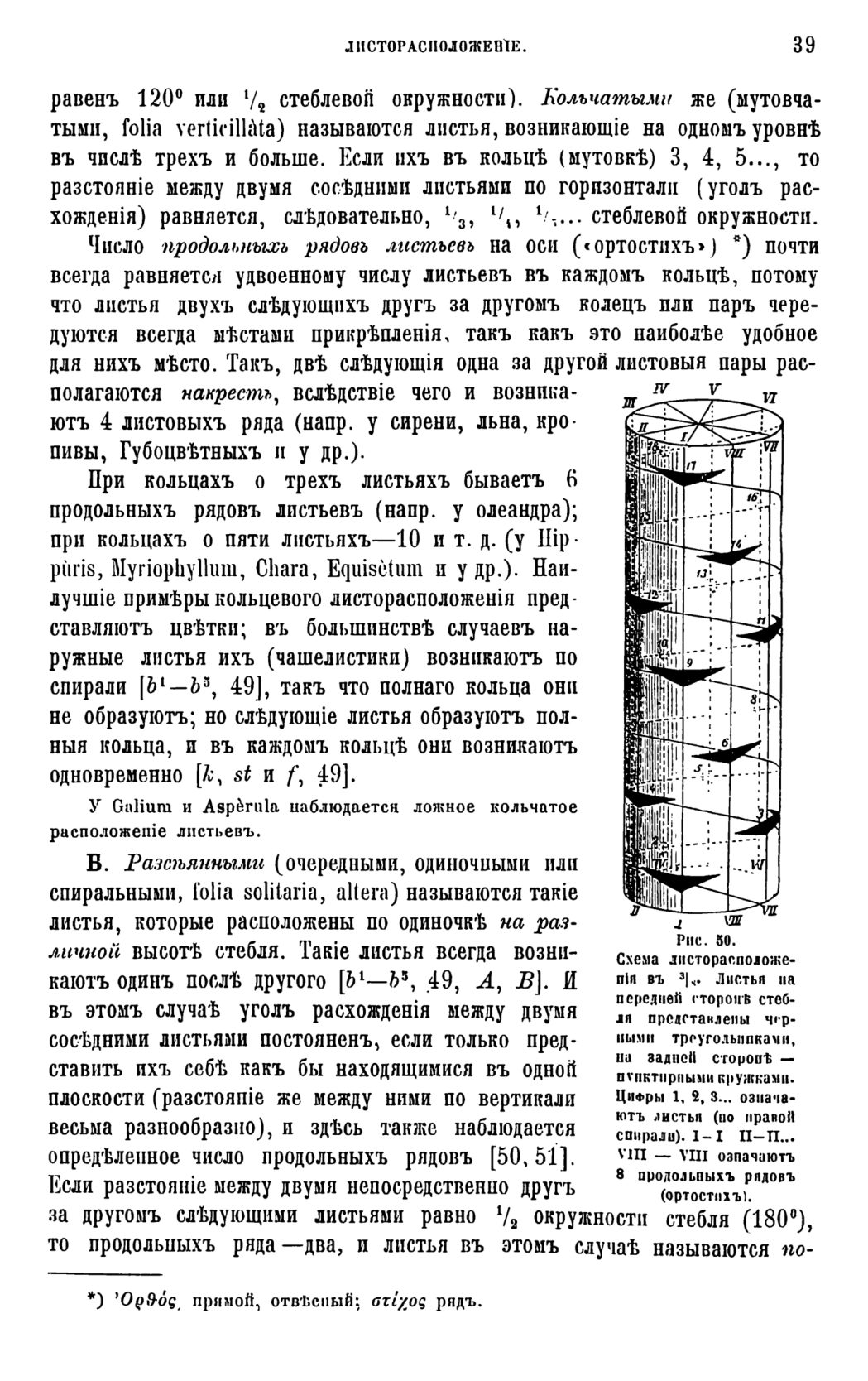 Скан страницы 42 книги «Систематика растений. Часть 1»