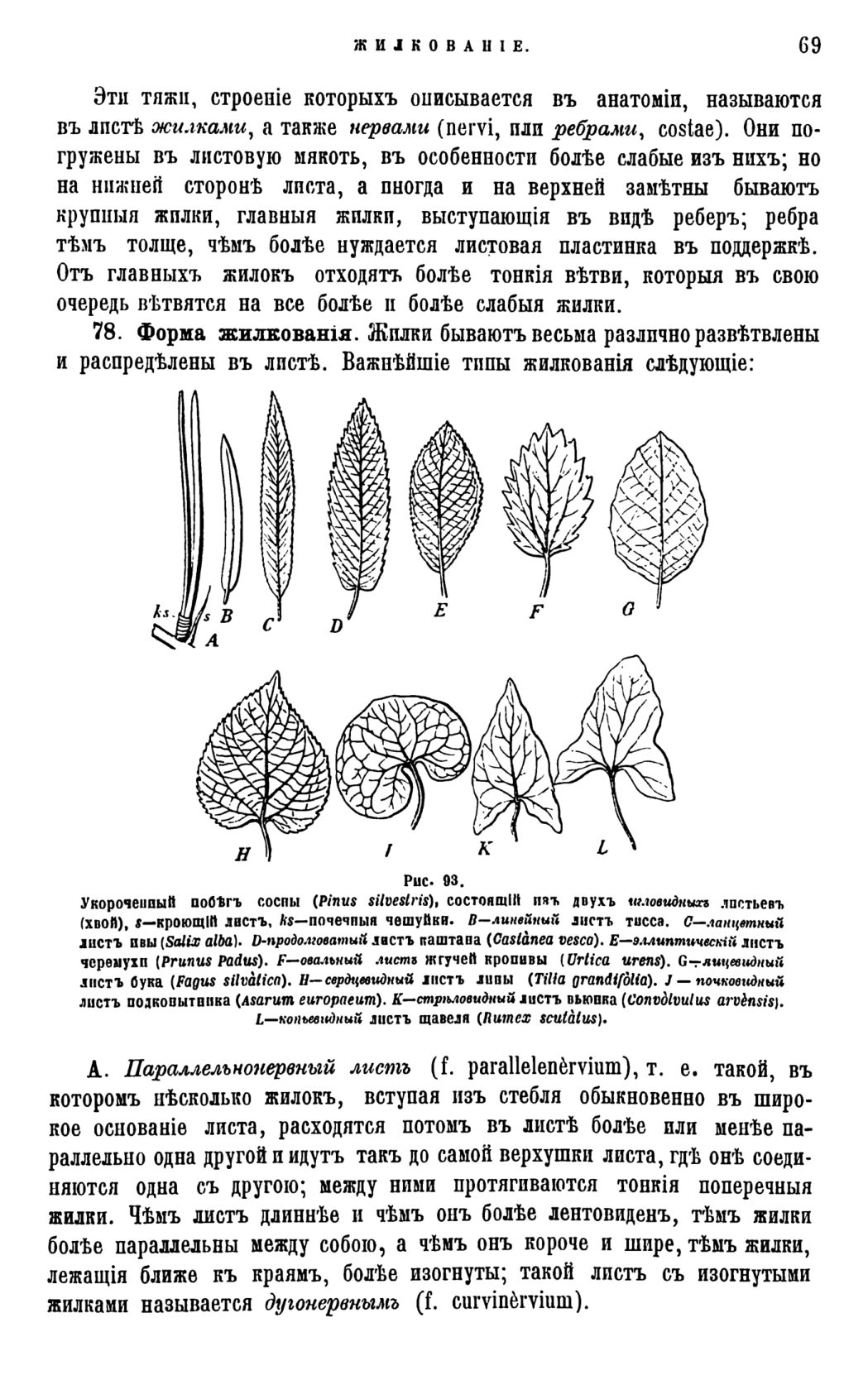 Скан страницы 72 книги «Систематика растений. Часть 1»