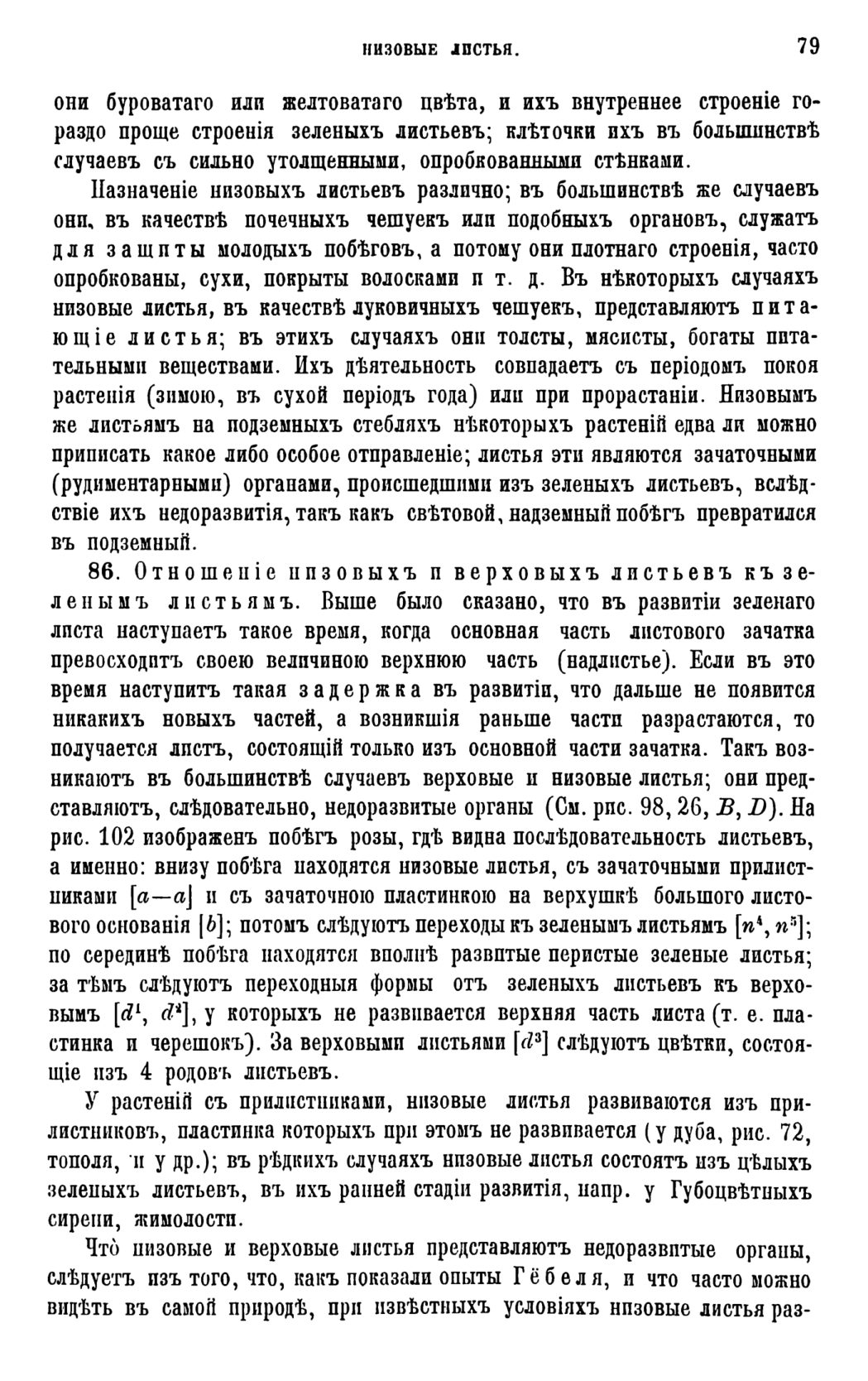 Скан страницы 82 книги «Систематика растений. Часть 1»
