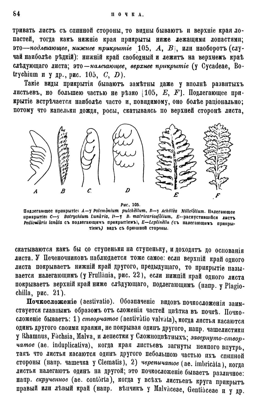 Скан страницы 87 книги «Систематика растений. Часть 1»