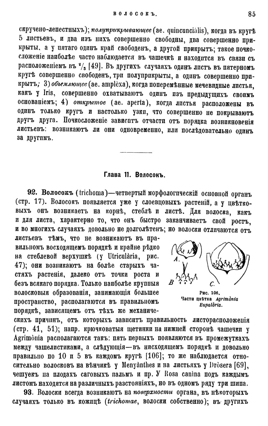 Скан страницы 88 книги «Систематика растений. Часть 1»
