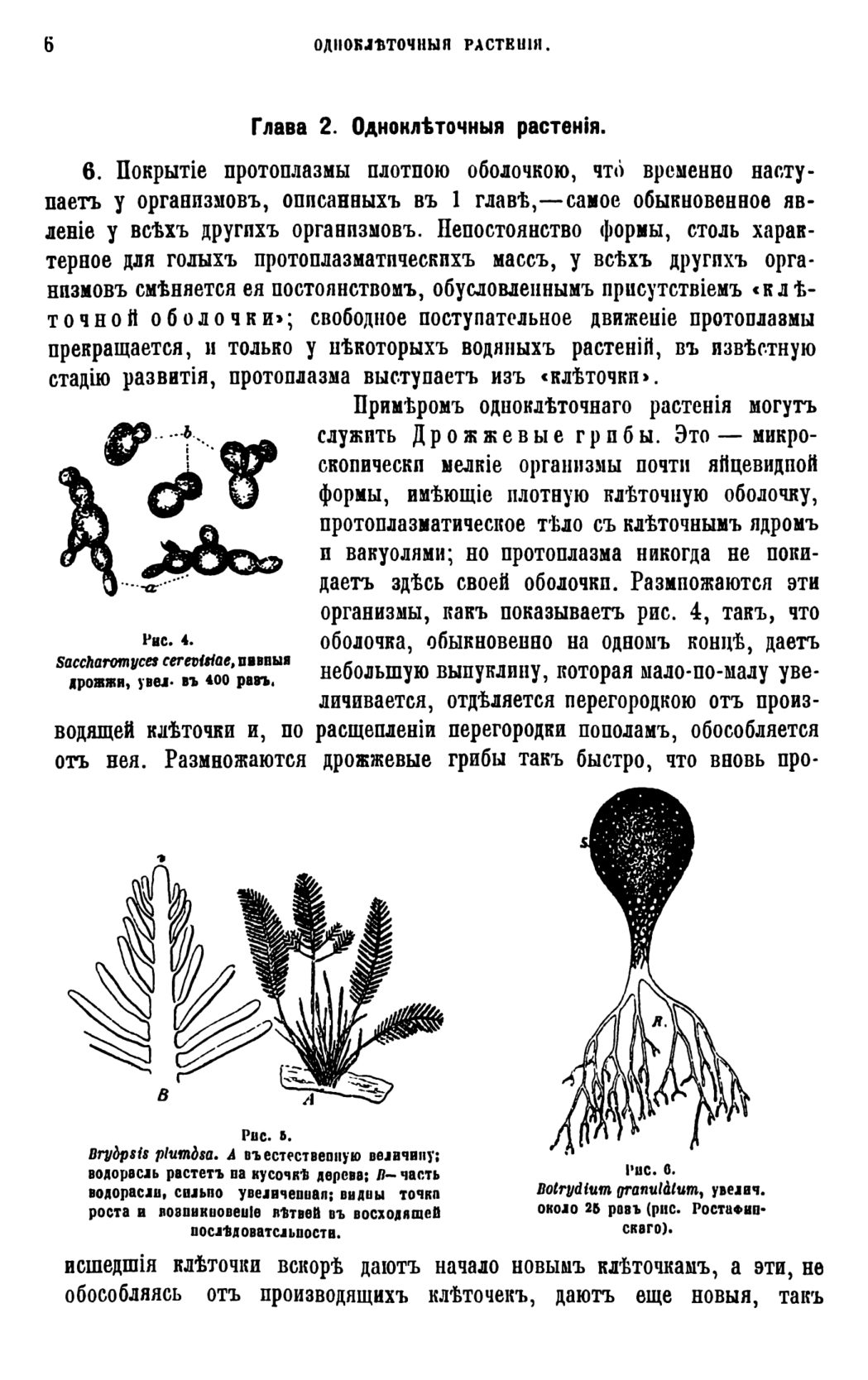Скан страницы 9 книги «Систематика растений. Часть 1»