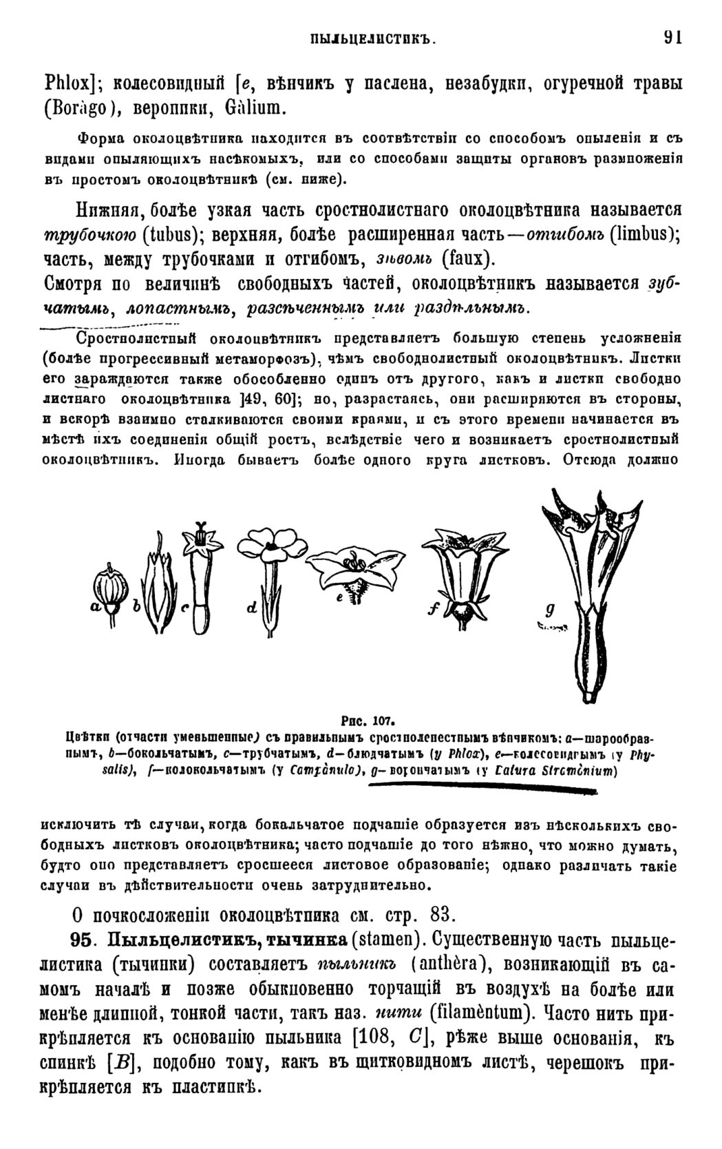 Скан страницы 94 книги «Систематика растений. Часть 1»