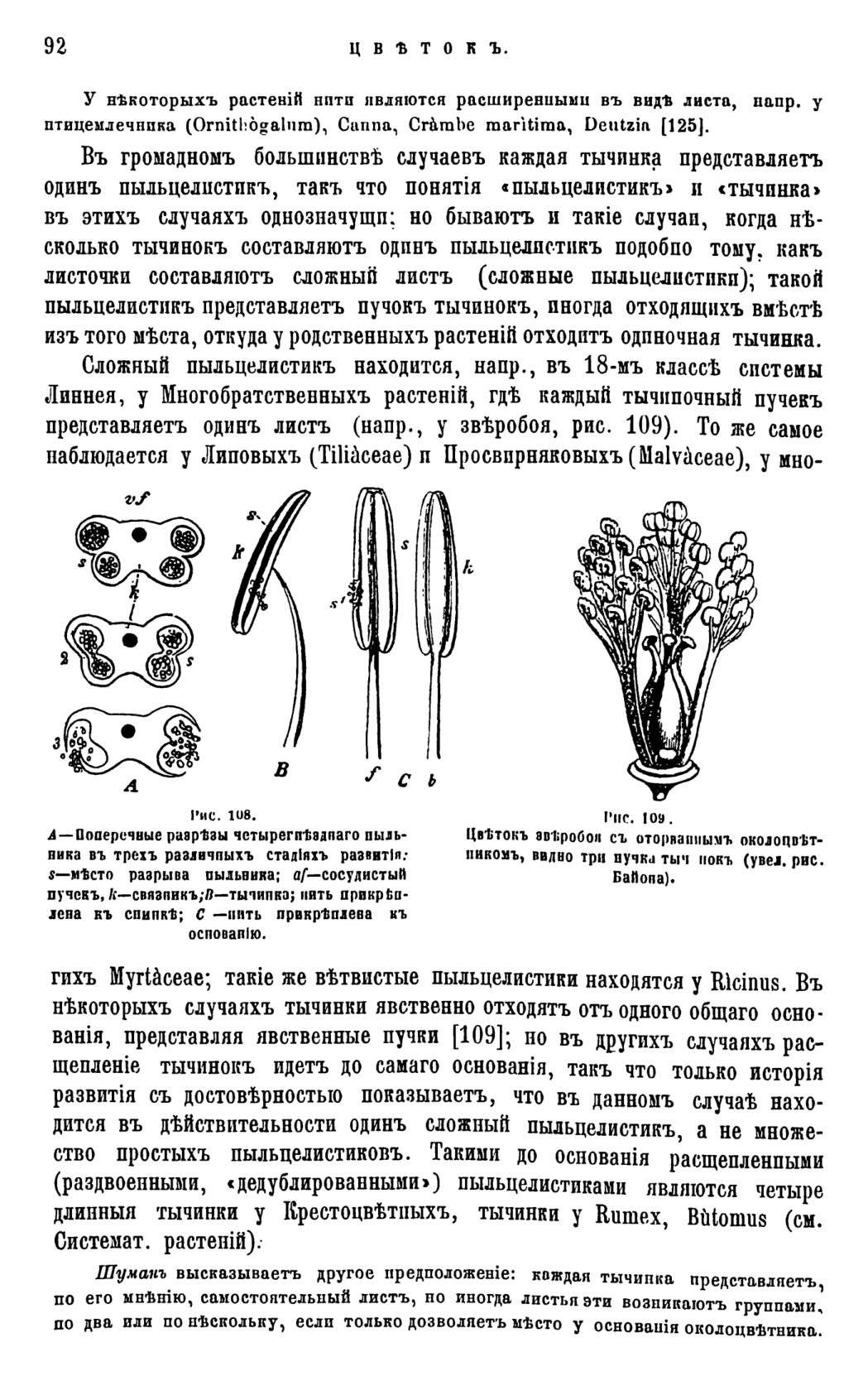 Скан страницы 95 книги «Систематика растений. Часть 1»