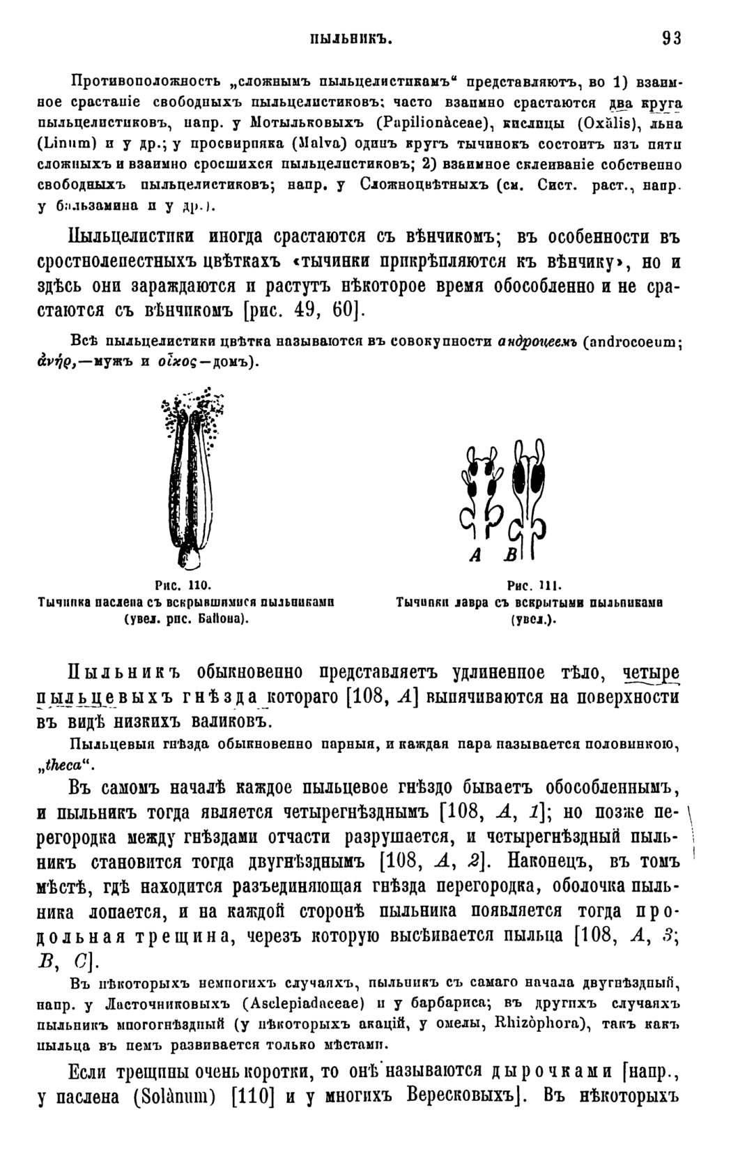 Скан страницы 96 книги «Систематика растений. Часть 1»