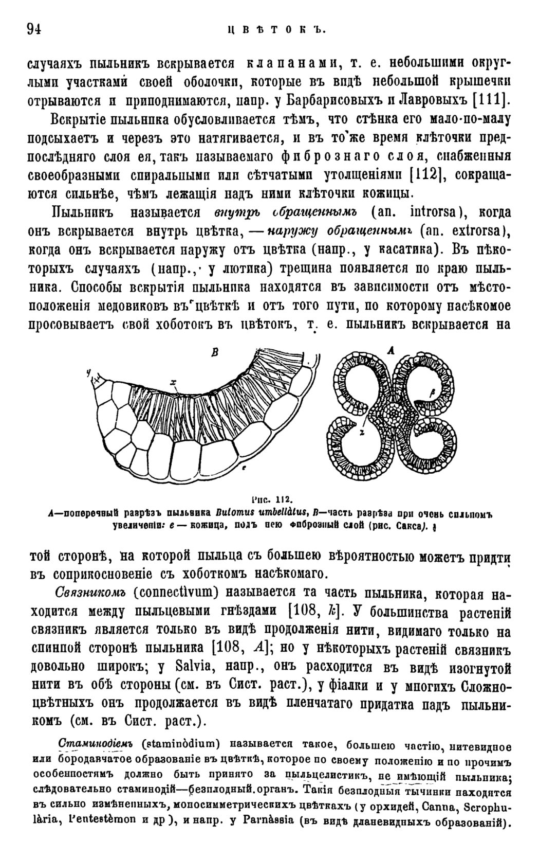 Скан страницы 97 книги «Систематика растений. Часть 1»