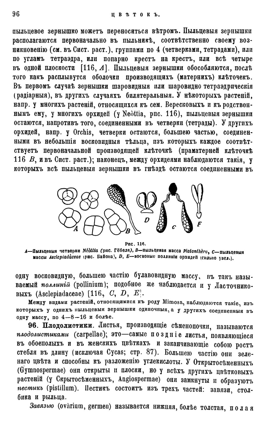 Скан страницы 99 книги «Систематика растений. Часть 1»