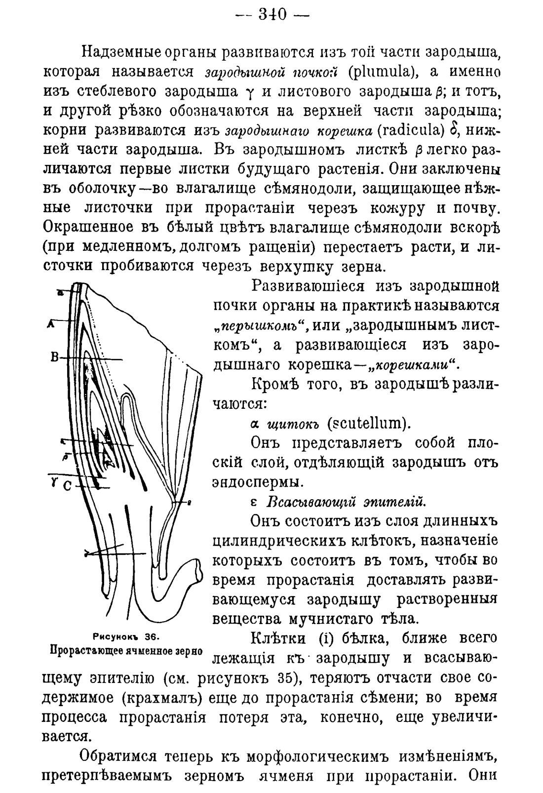 Скан страницы 350 книги «Руководство к винокуренному производству»