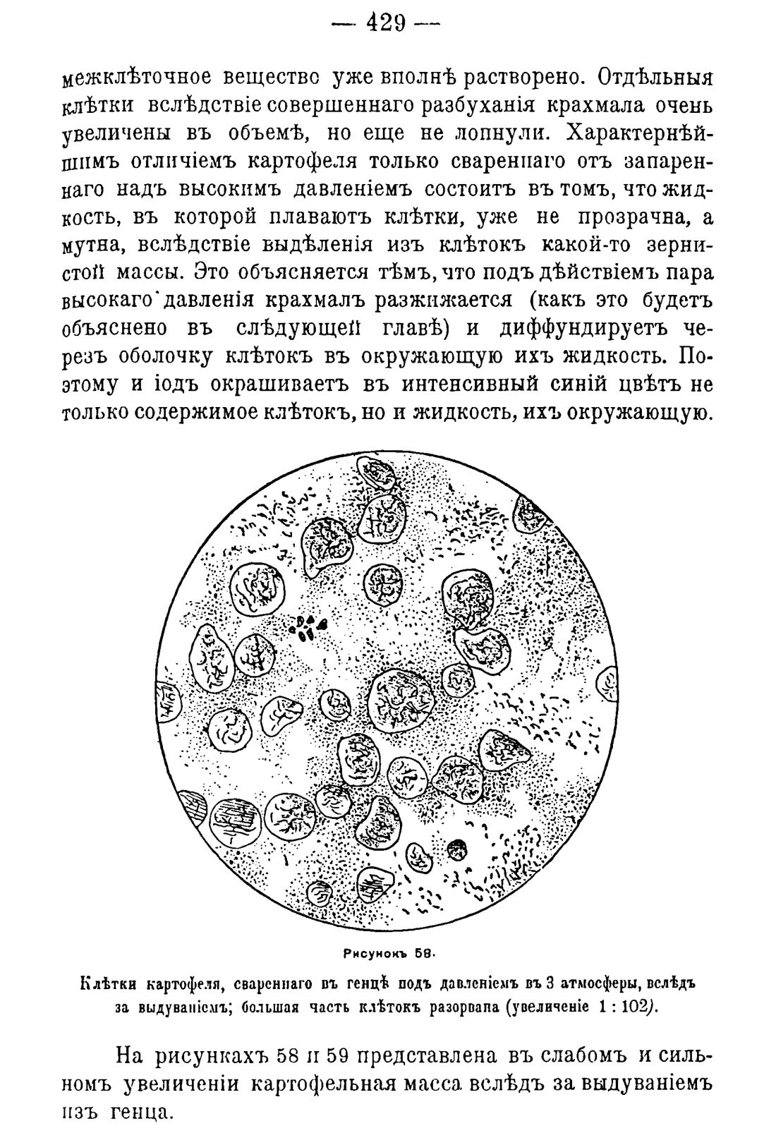 Скан страницы 439 книги «Руководство к винокуренному производству»