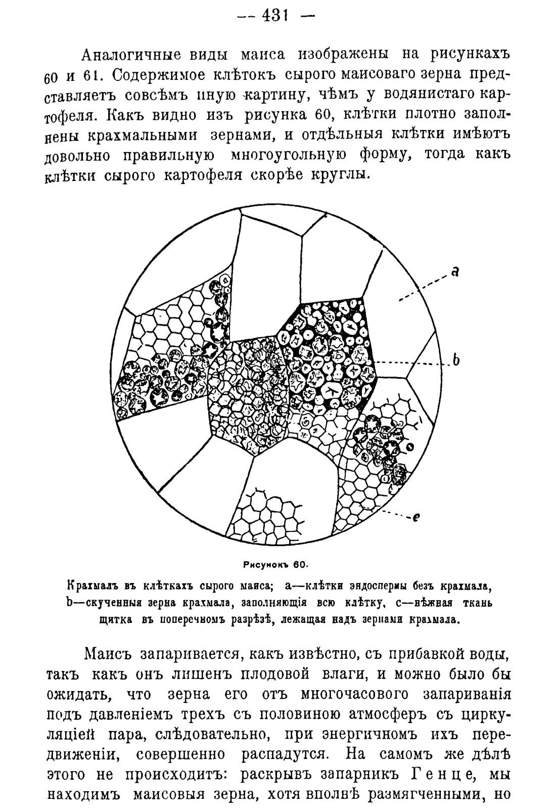 Скан страницы 441 книги «Руководство к винокуренному производству»
