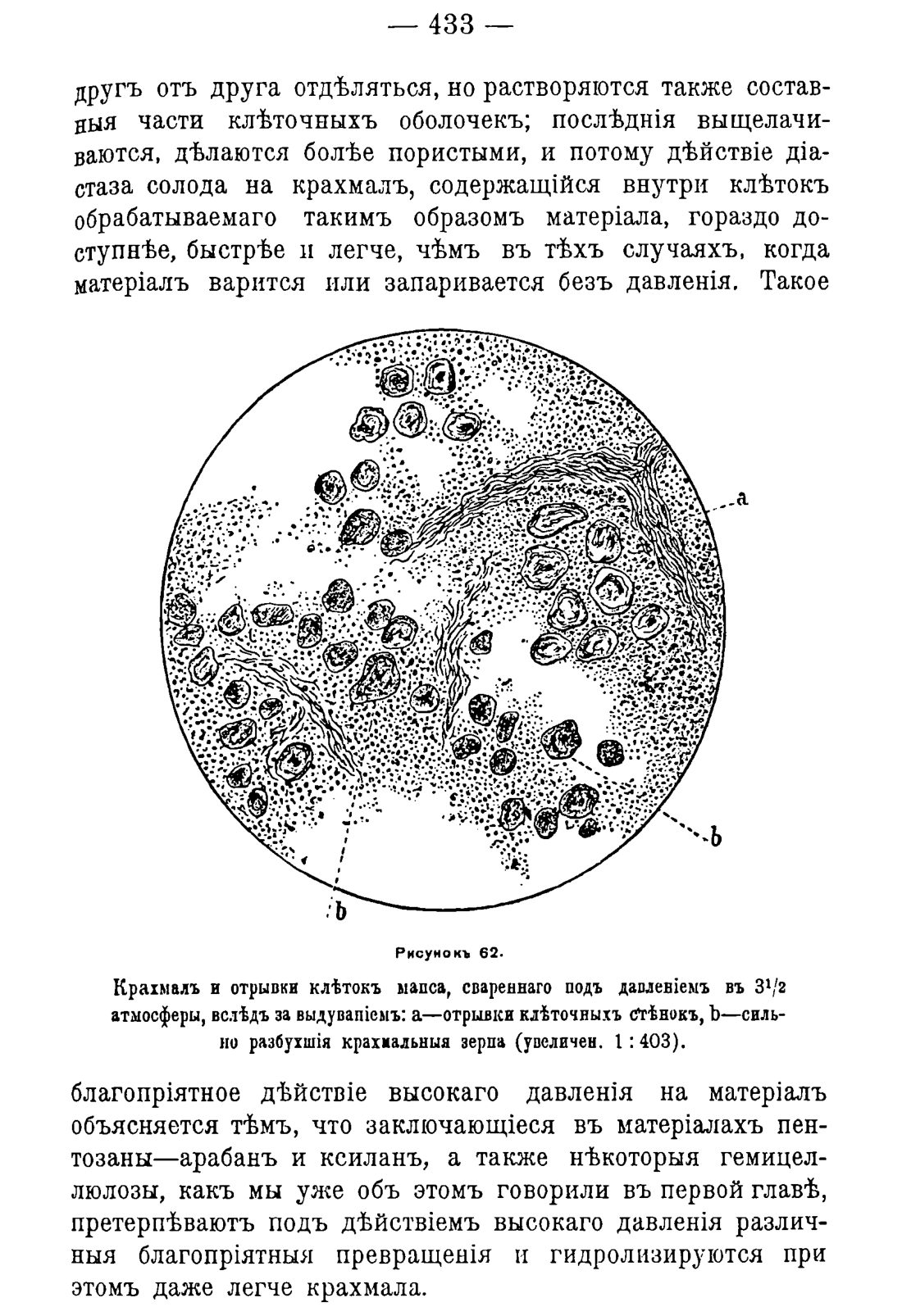 Скан страницы 443 книги «Руководство к винокуренному производству»