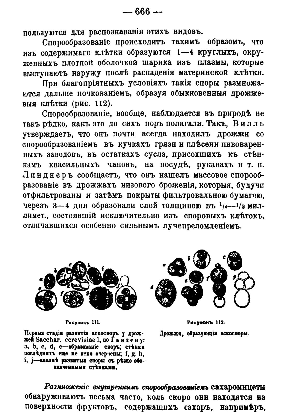 Скан страницы 676 книги «Руководство к винокуренному производству»