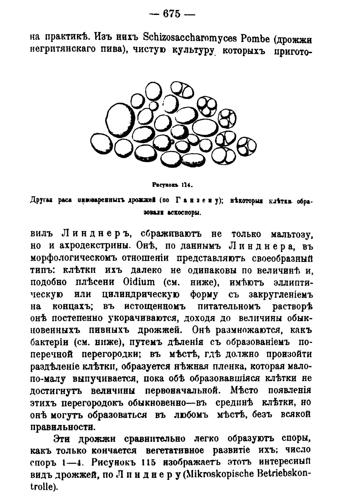 Скан страницы 689 книги «Руководство к винокуренному производству»