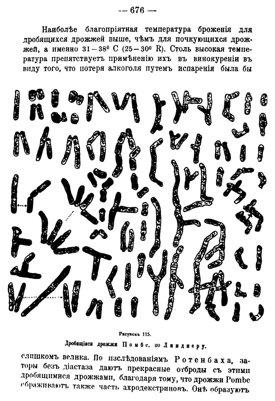 Скан страницы 690 книги «Руководство к винокуренному производству»