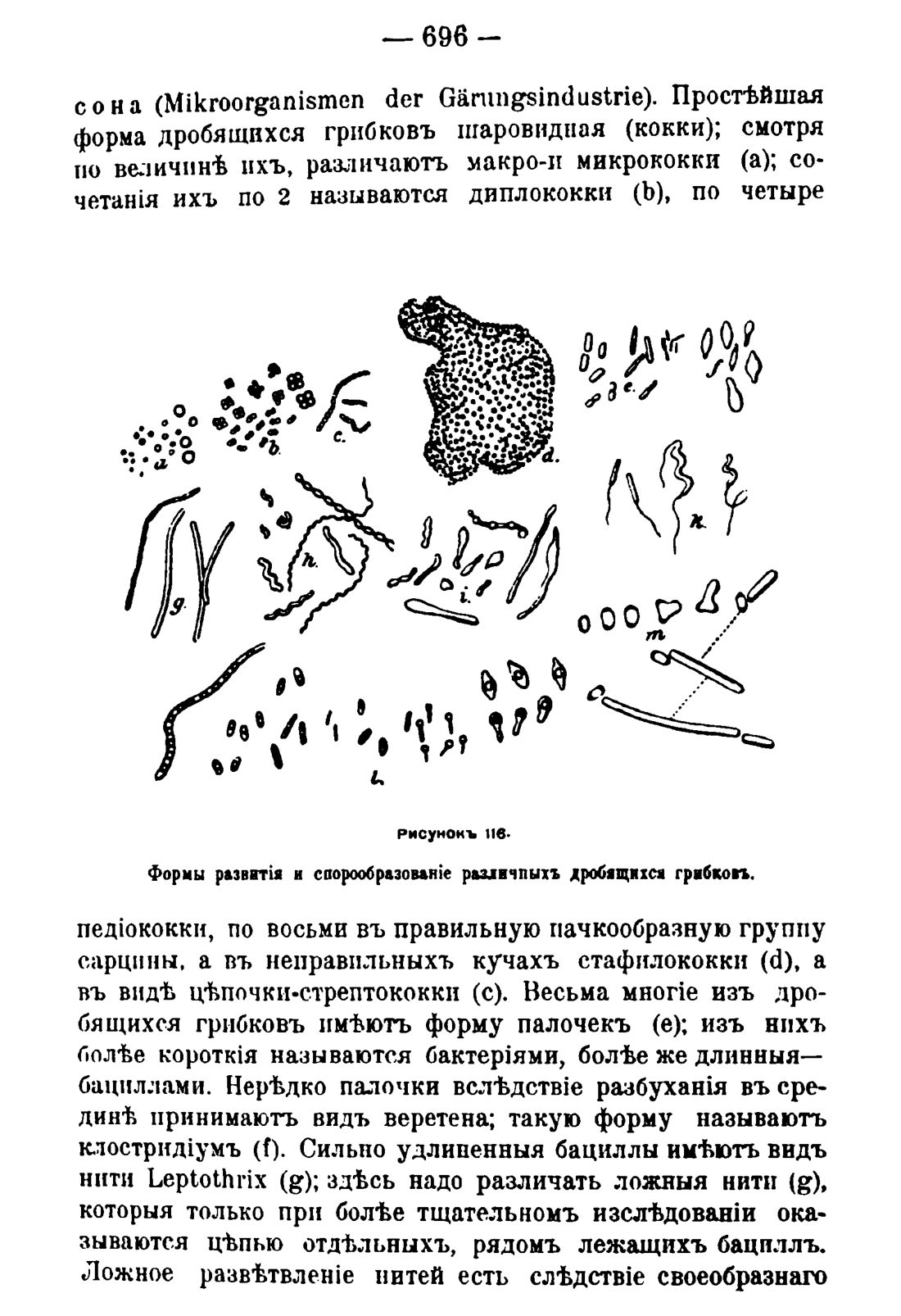 Скан страницы 710 книги «Руководство к винокуренному производству»