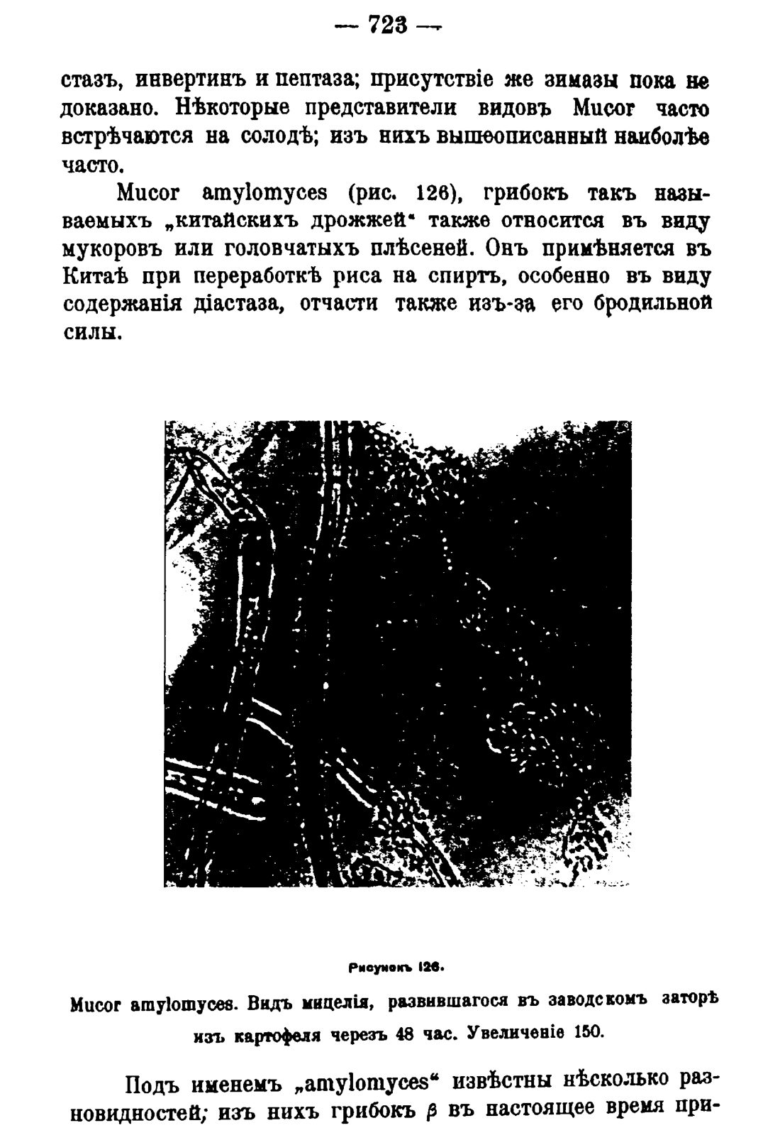 Скан страницы 737 книги «Руководство к винокуренному производству»
