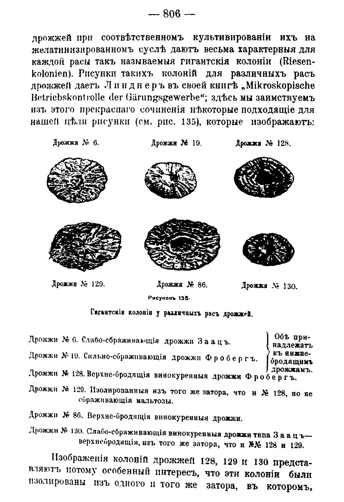 Скан страницы 820 книги «Руководство к винокуренному производству»