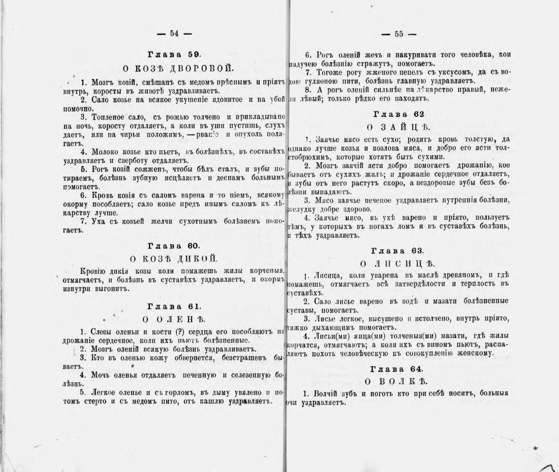 Скан страницы 38 книги «Русские простонародные травники и лечебники»