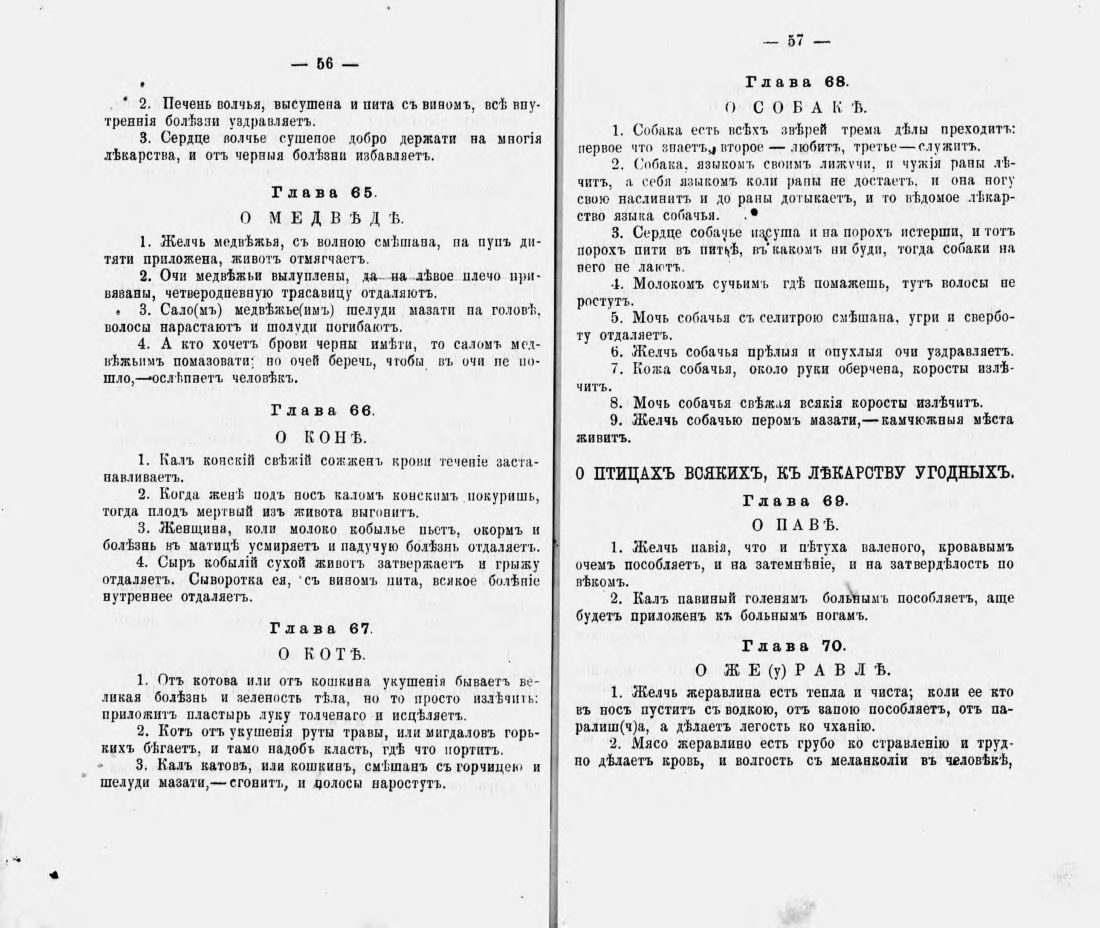 Скан страницы 39 книги «Русские простонародные травники и лечебники»