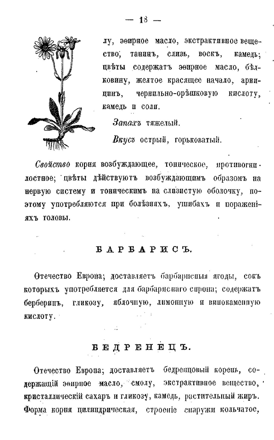 Скан страницы 20 книги «Царство врачебных трав и растений (целебный травник)»