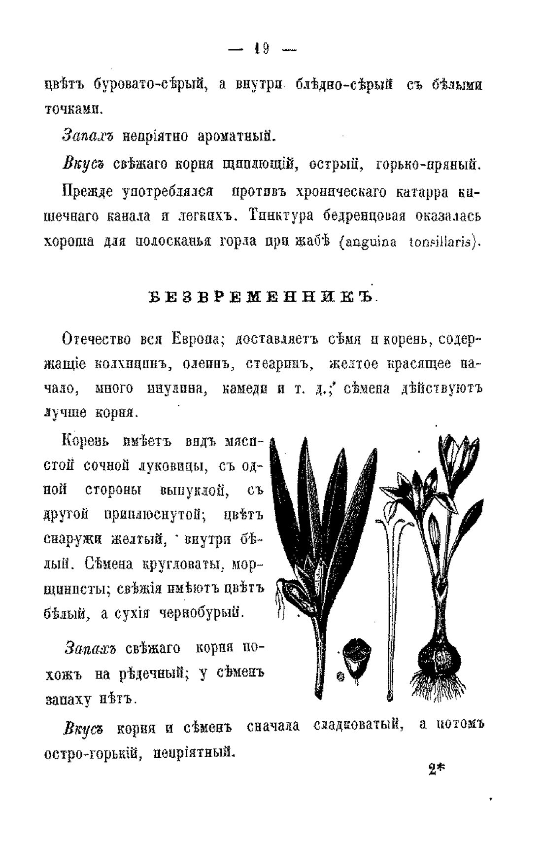 Скан страницы 21 книги «Царство врачебных трав и растений (целебный травник)»