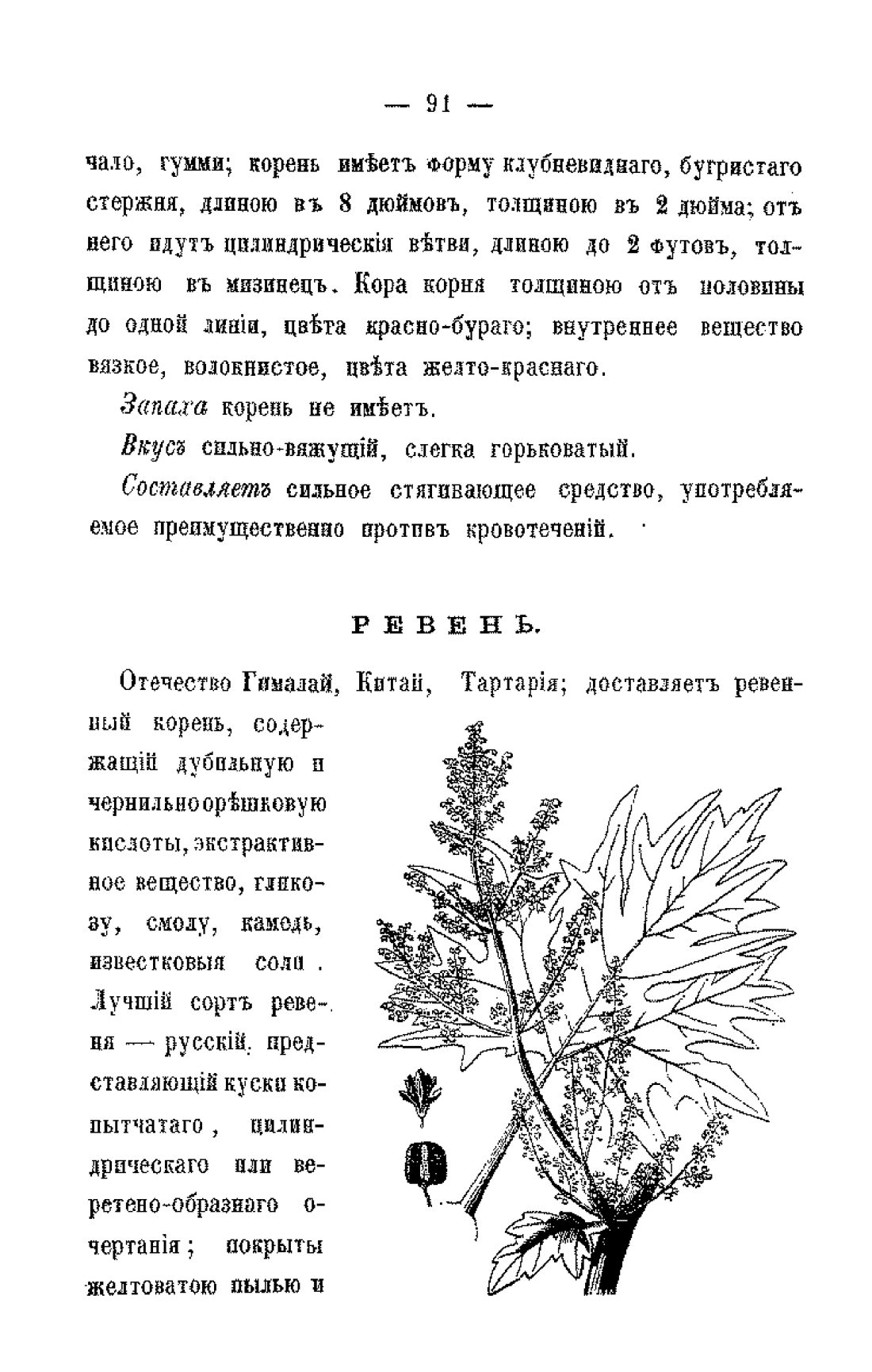 Скан страницы 93 книги «Царство врачебных трав и растений (целебный травник)»