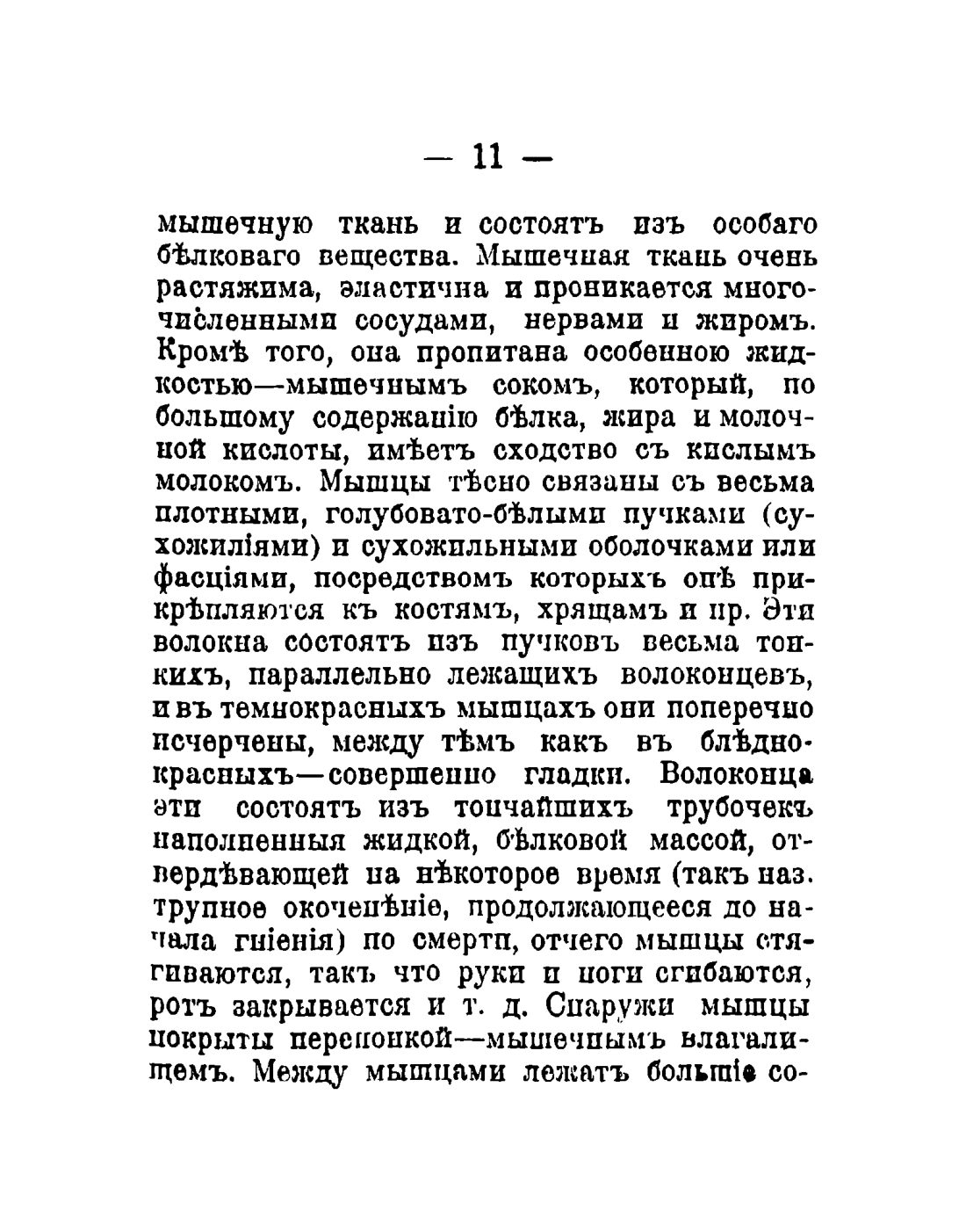 Скан страницы 13 книги «Общедоступный народный лечебник»