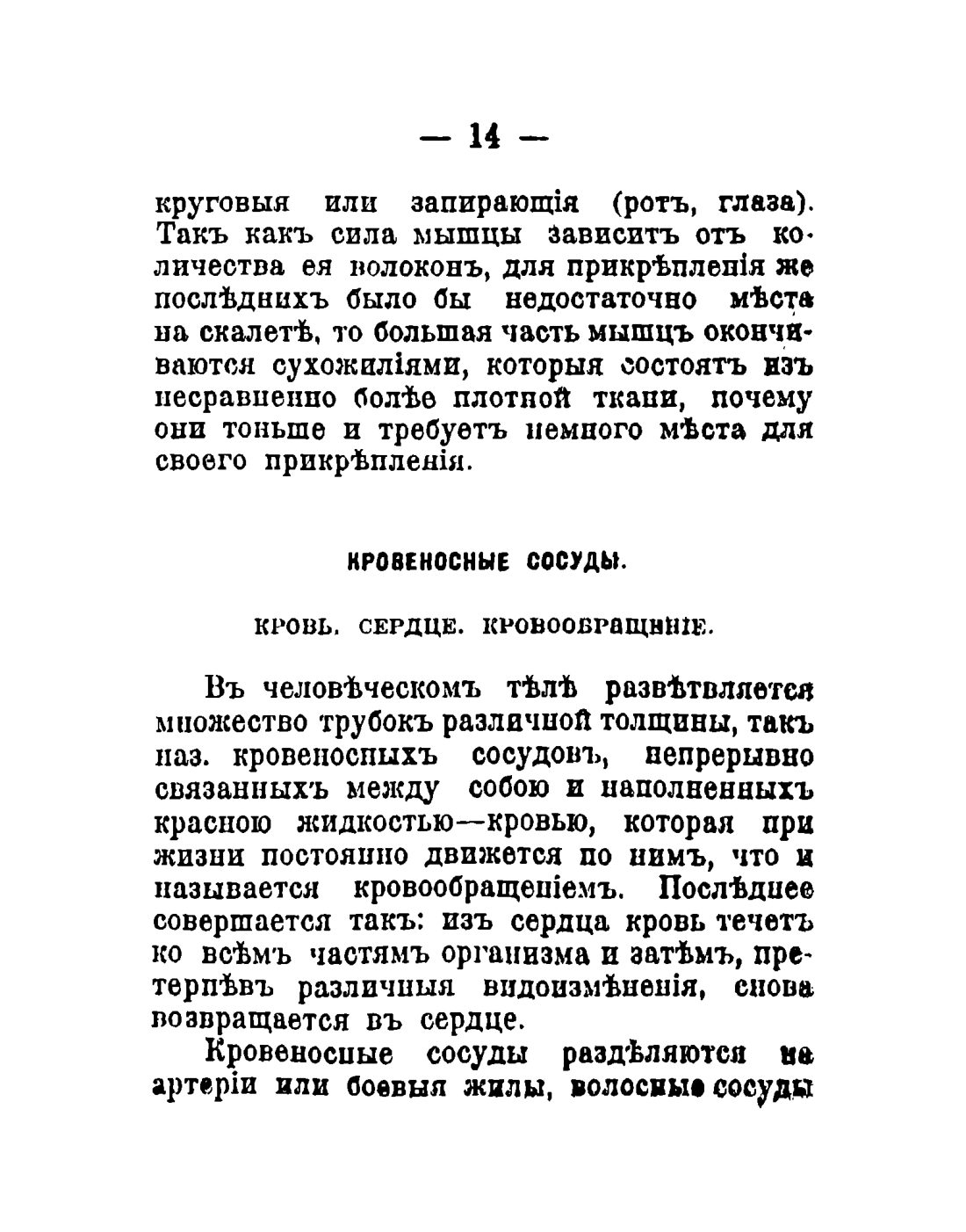 Скан страницы 16 книги «Общедоступный народный лечебник»