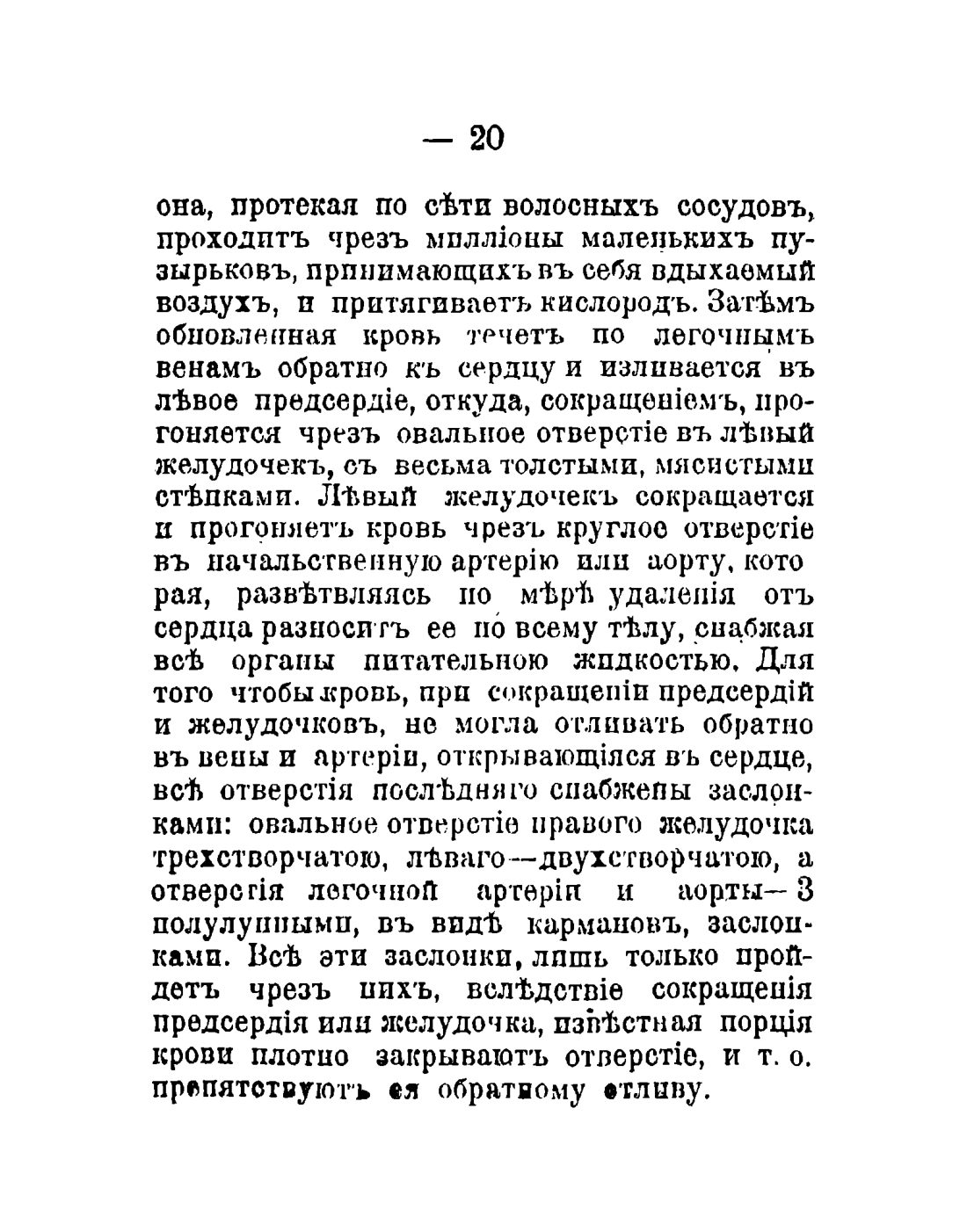 Скан страницы 22 книги «Общедоступный народный лечебник»