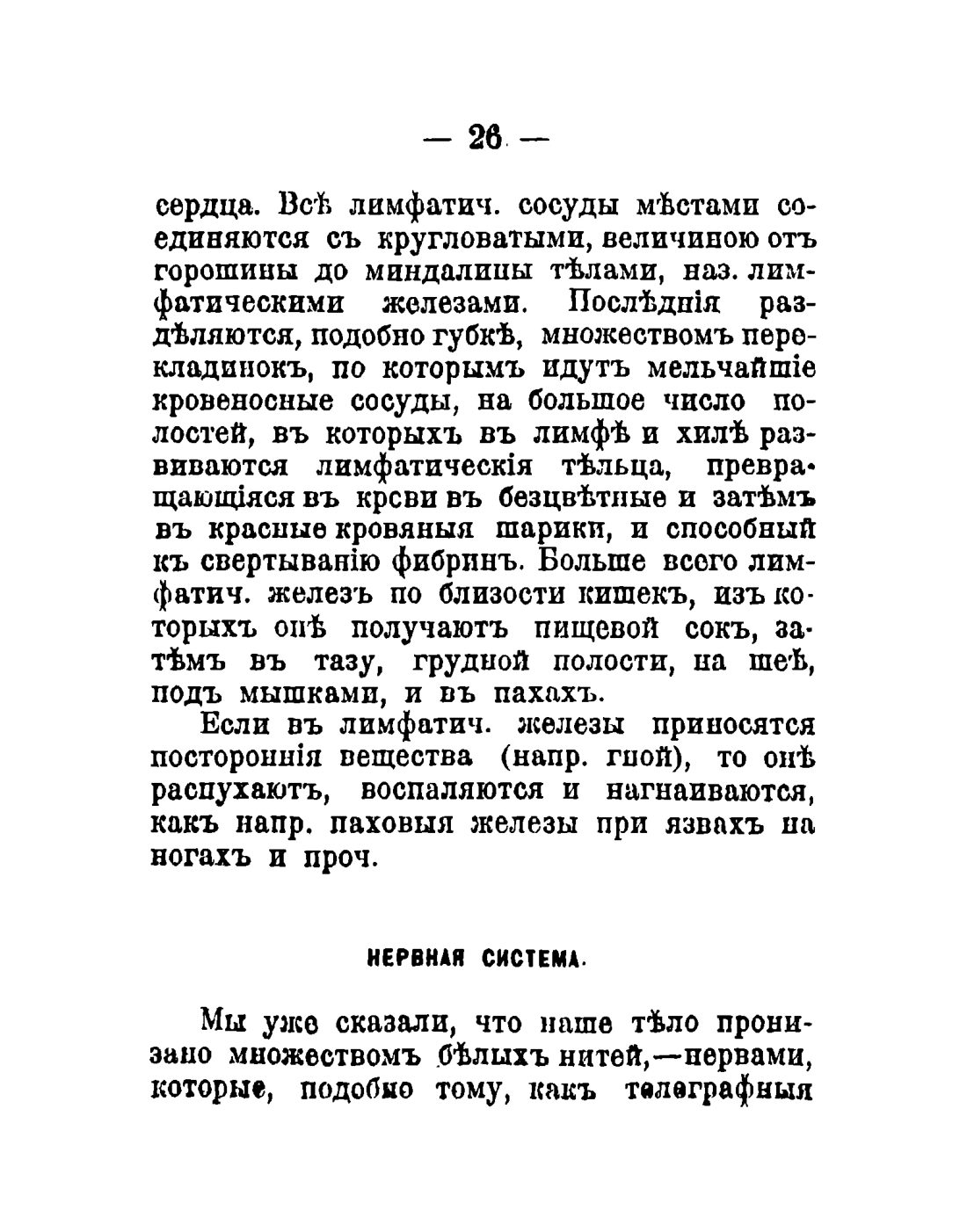 Скан страницы 28 книги «Общедоступный народный лечебник»