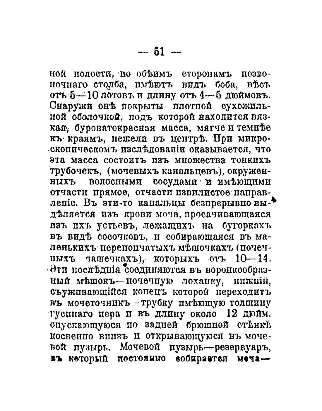 Скан страницы 53 книги «Общедоступный народный лечебник»