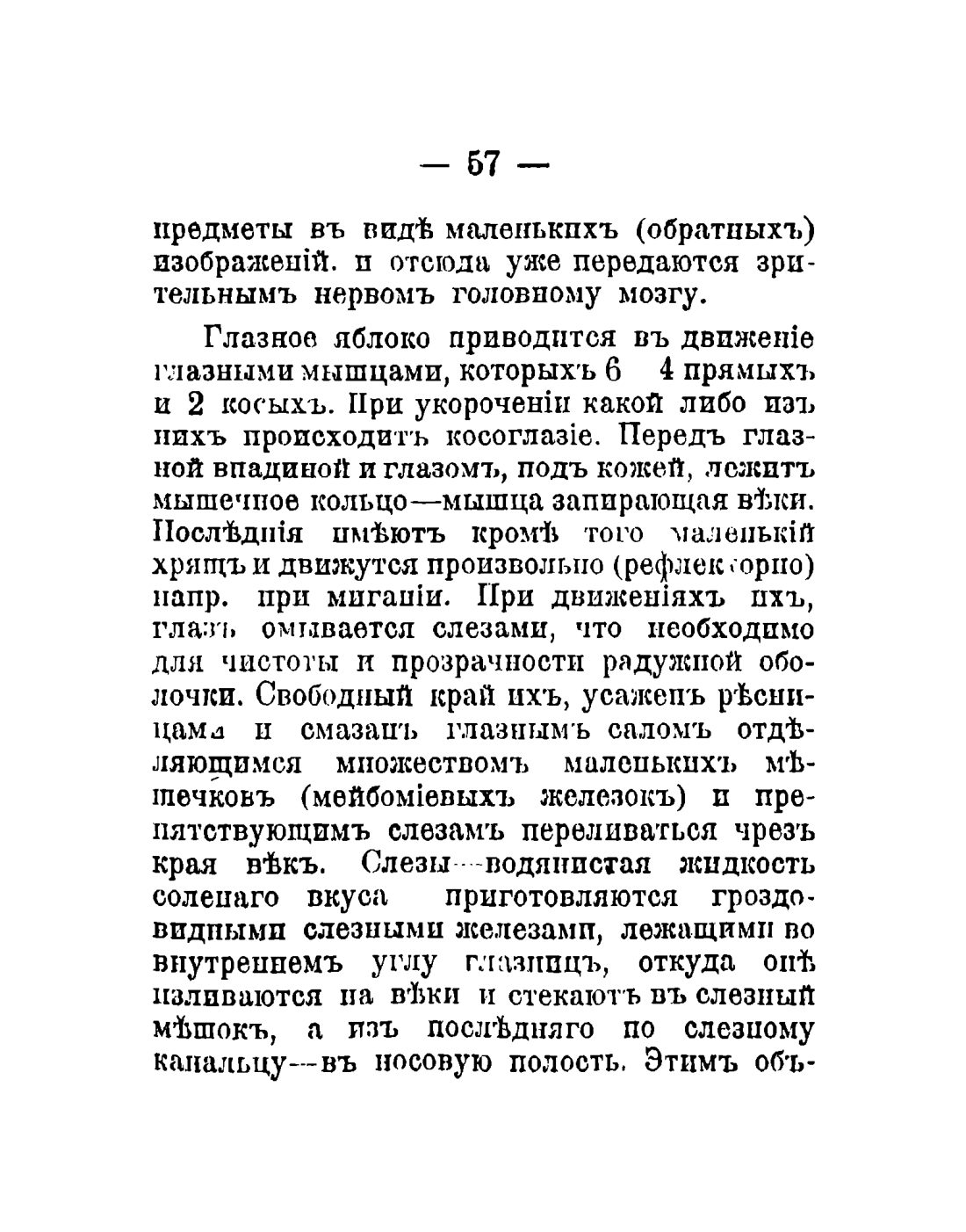 Скан страницы 59 книги «Общедоступный народный лечебник»