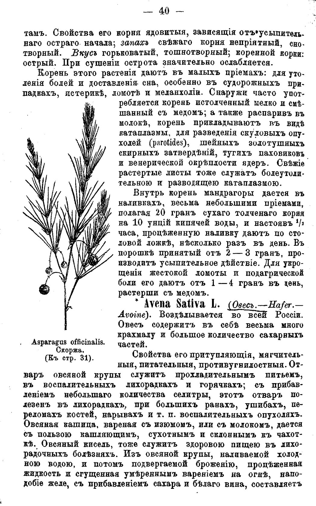 Скан страницы 119 книги «Полный целебный травник»