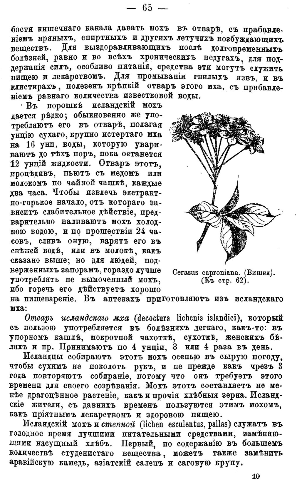 Скан страницы 144 книги «Полный целебный травник»