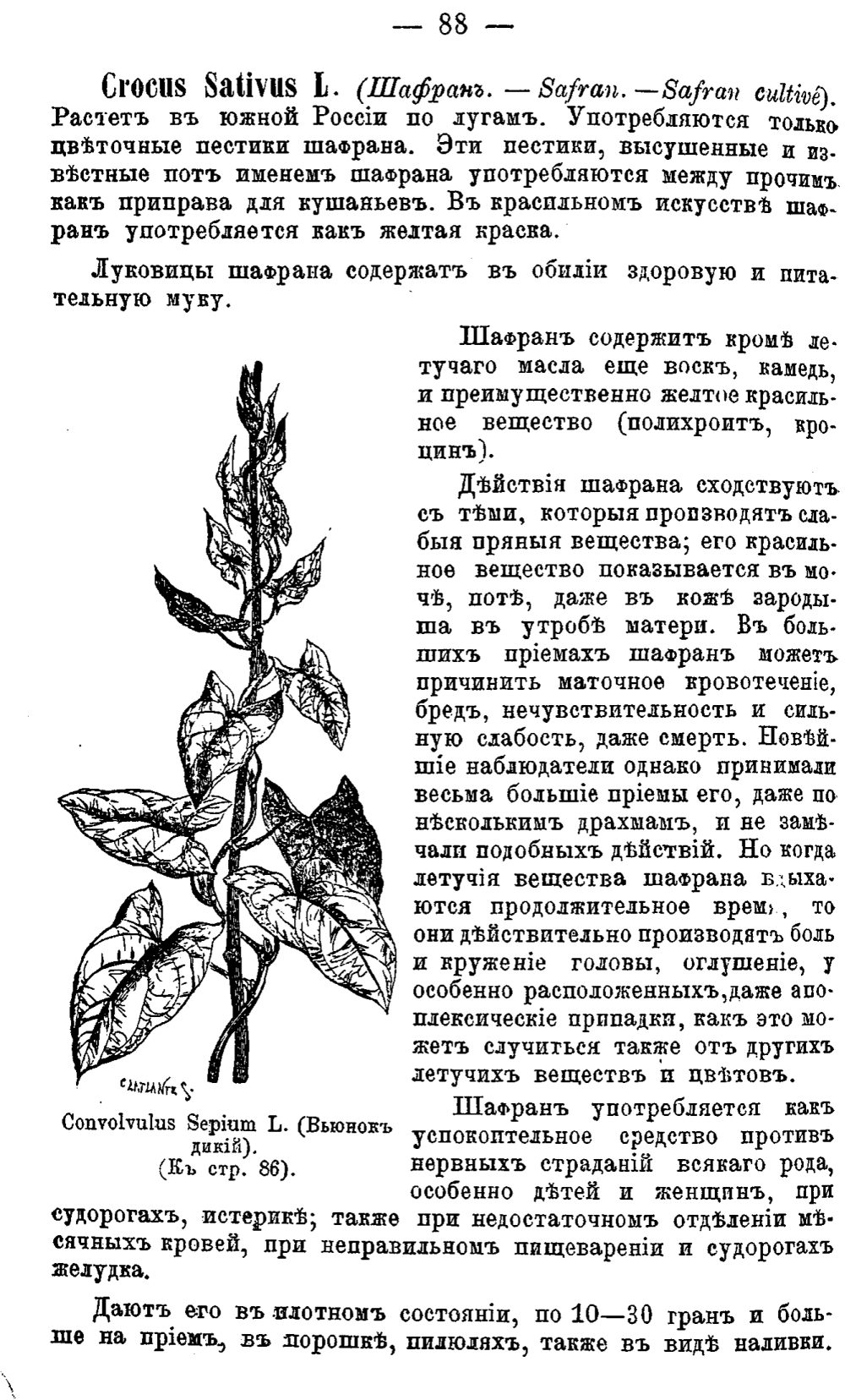 Скан страницы 167 книги «Полный целебный травник»