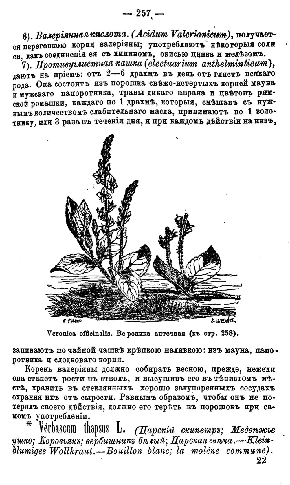 Скан страницы 336 книги «Полный целебный травник»