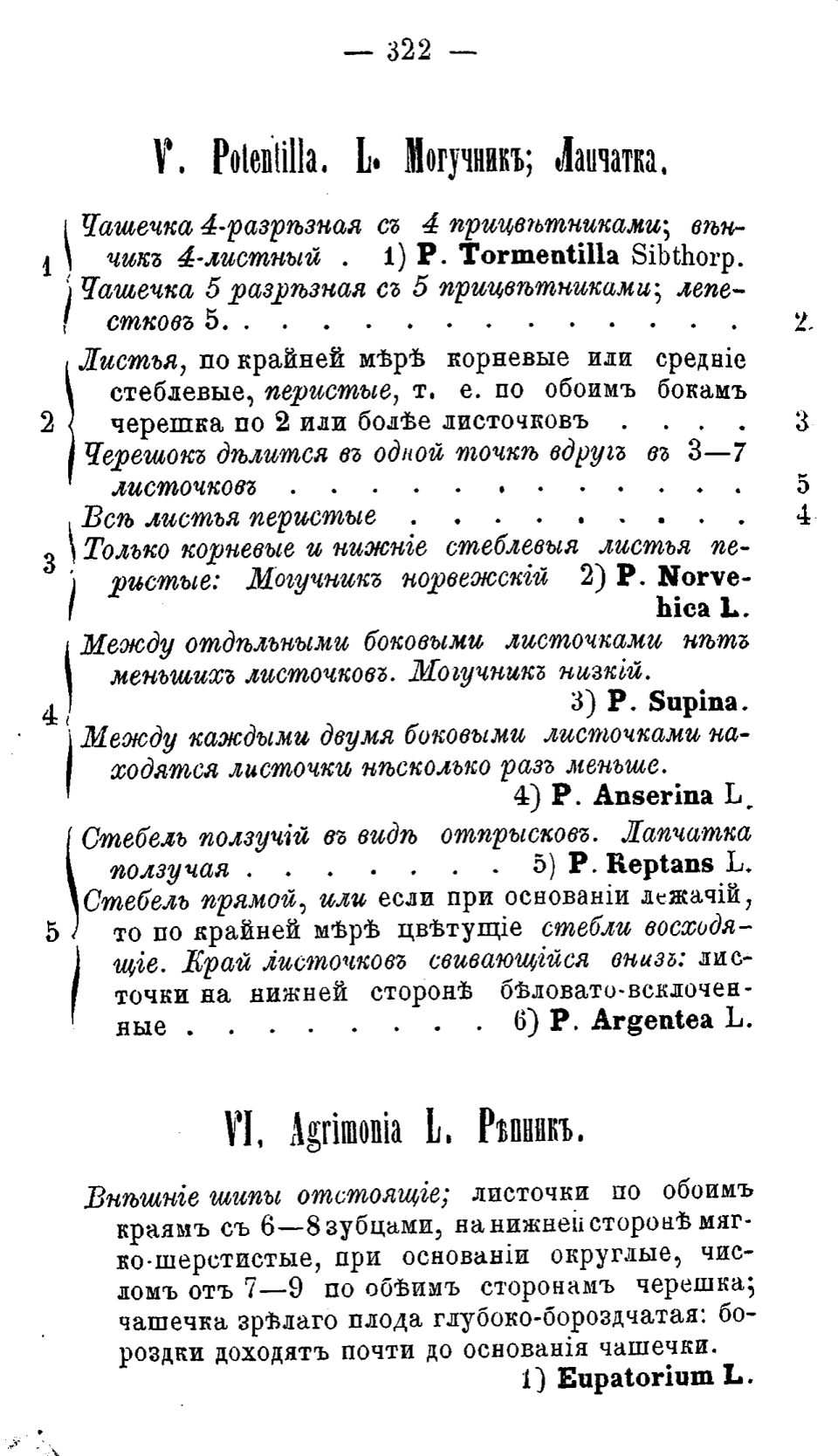 Скан страницы 401 книги «Полный целебный травник»