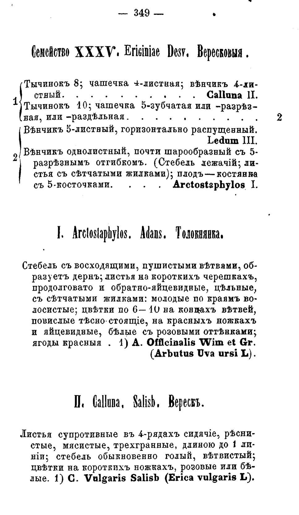 Скан страницы 428 книги «Полный целебный травник»