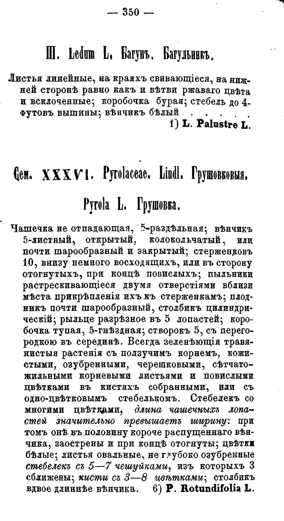 Скан страницы 429 книги «Полный целебный травник»