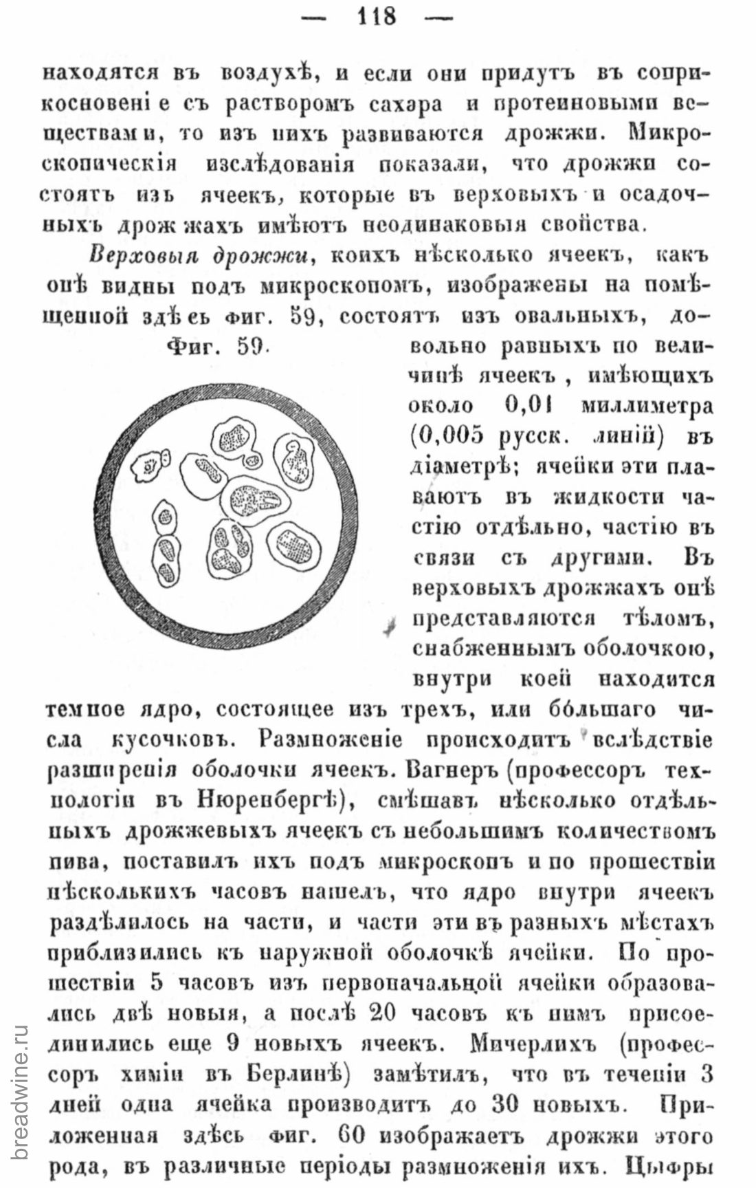 Скан страницы 135 книги «Руководство по винокурению»