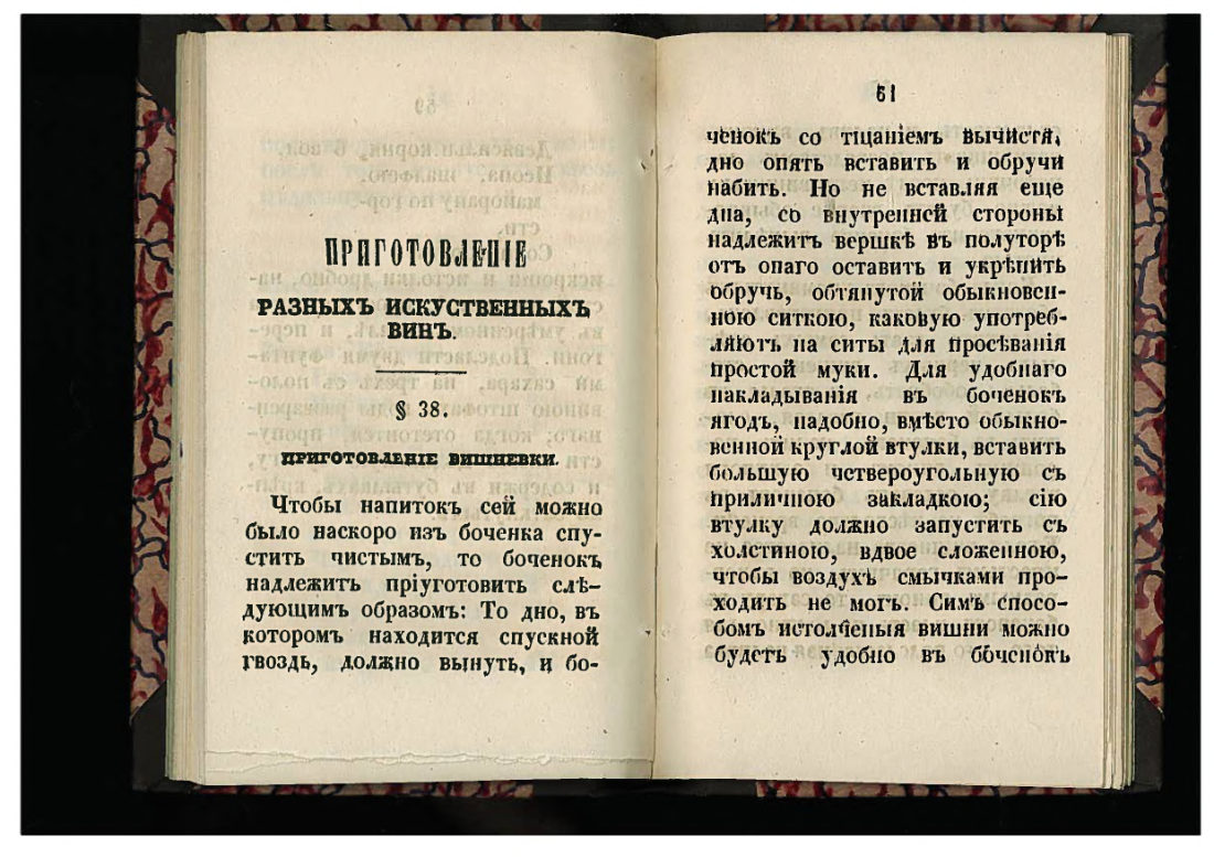 Скан страницы 31 книги «50 малороссийских спообов настаивать»