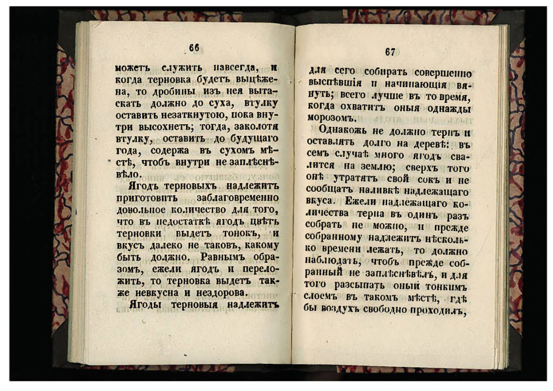 Скан страницы 34 книги «50 малороссийских спообов настаивать»
