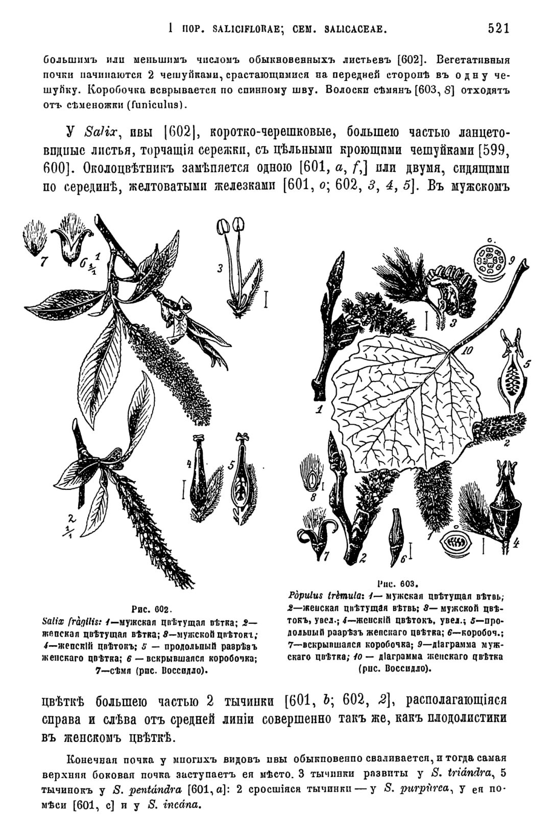 Скан страницы 139 книги «Систематика растений. Часть 2»