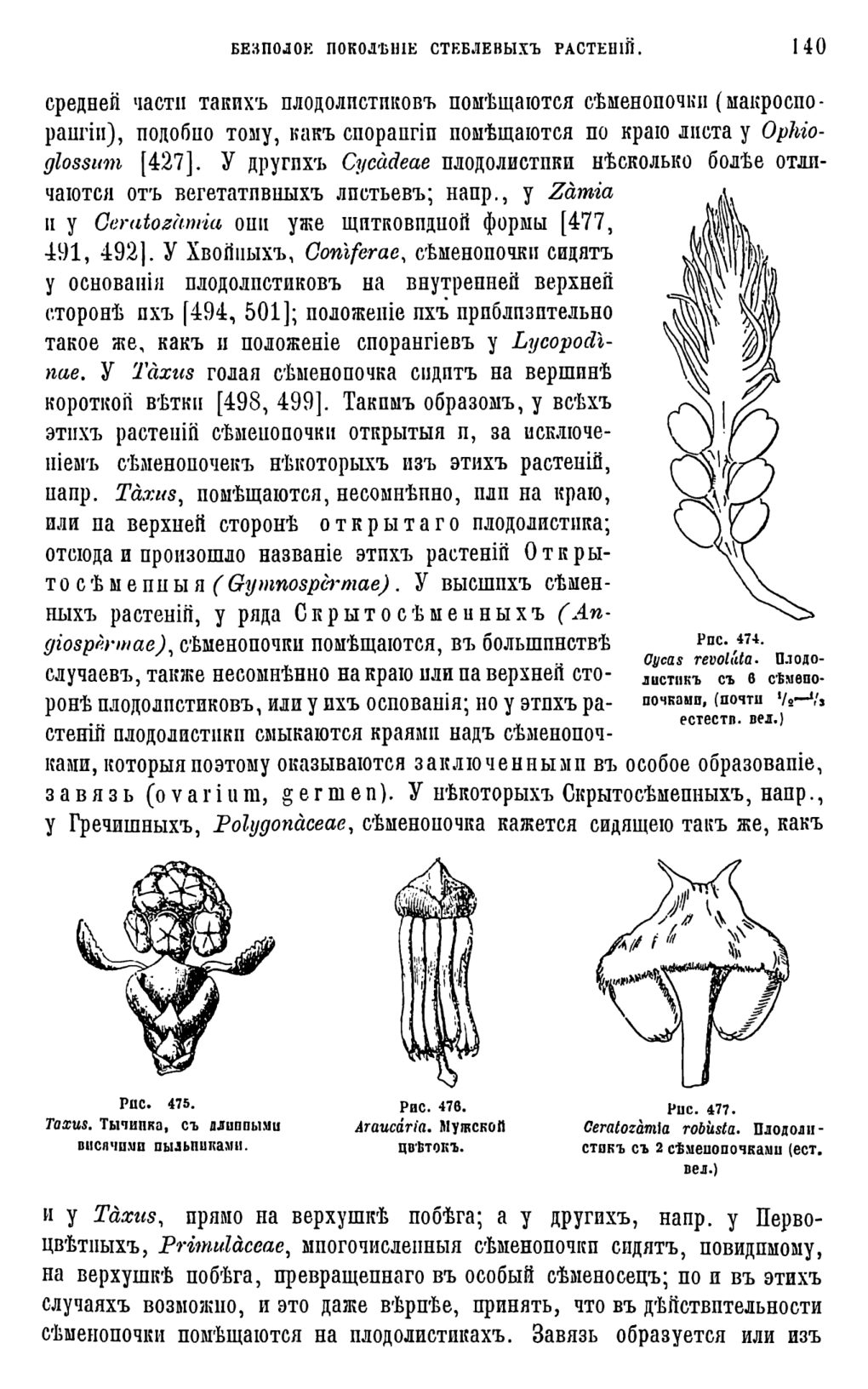 Скан страницы 19 книги «Систематика растений. Часть 2»