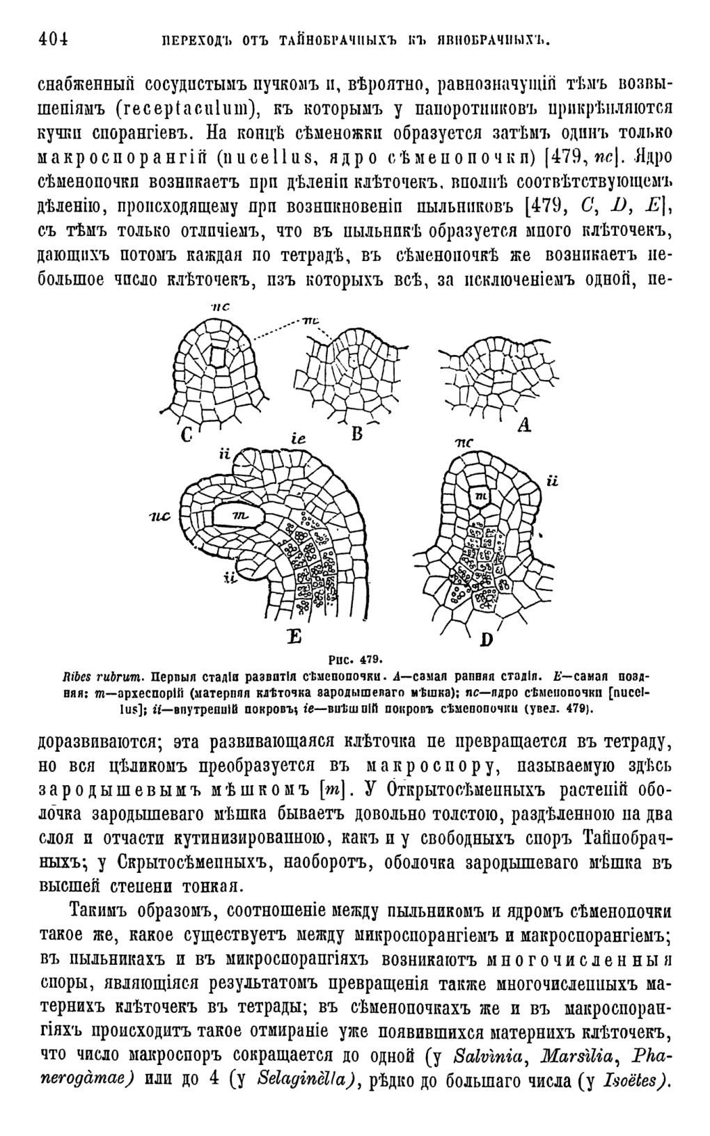 Скан страницы 22 книги «Систематика растений. Часть 2»